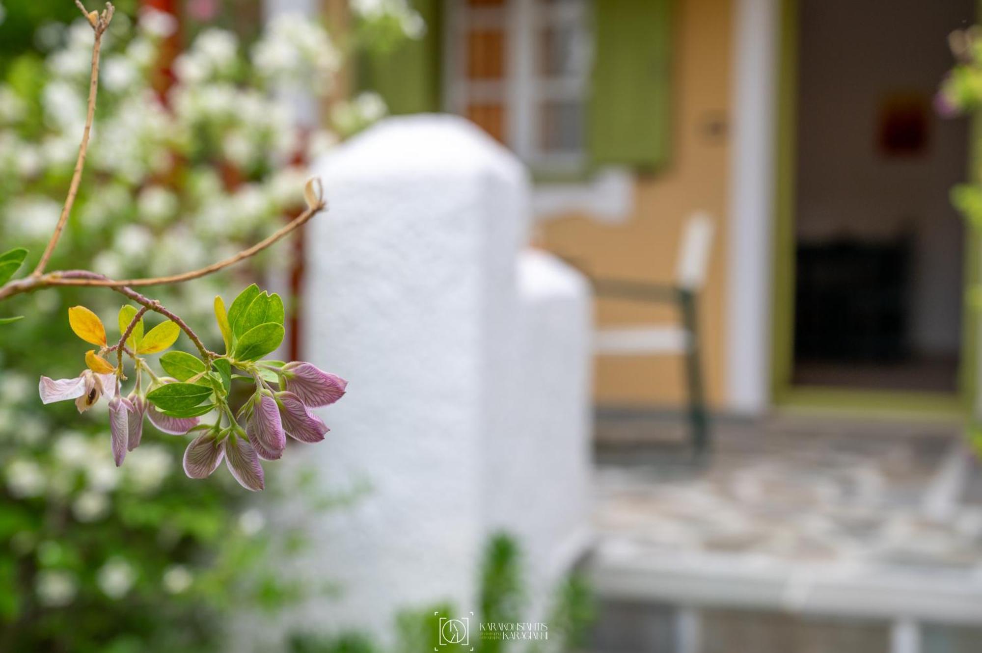Pleiades Samos Apartment Marathokampos Ngoại thất bức ảnh