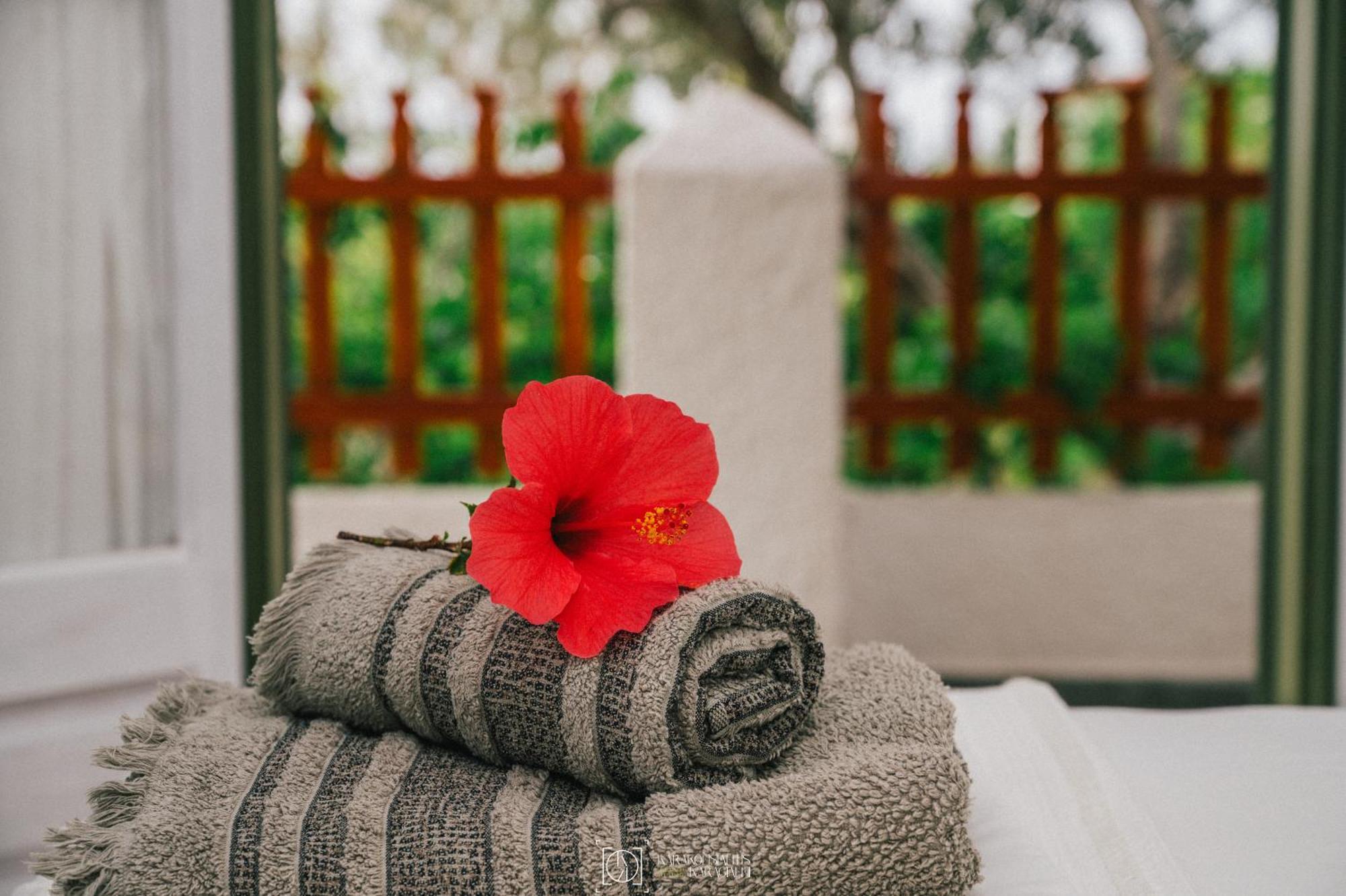 Pleiades Samos Apartment Marathokampos Ngoại thất bức ảnh