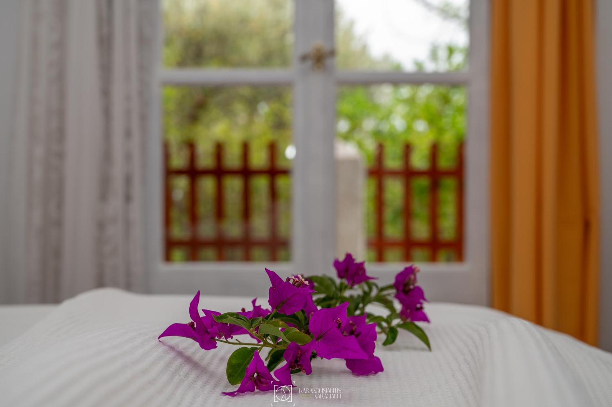 Pleiades Samos Apartment Marathokampos Ngoại thất bức ảnh